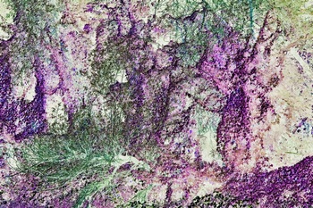 N 159L